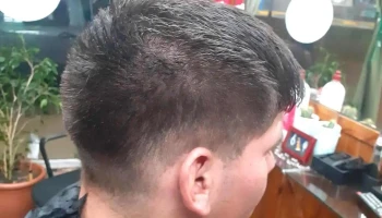 Peluqueria Don Mateo - Pscual Navata