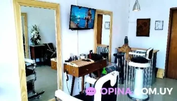 Peluquería El Grillo punta - 20080 Maldonado Peluquería El Grillo punta - 20080 Maldonado