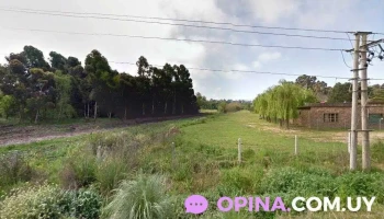 Peluquería La Pesiosia Nueva - 12800 Montevideo Peluquería La Pesiosia Nueva - 12800 Montevideo