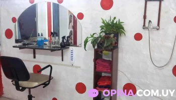 Peluqueria Paola - 60000 Nuevo Paysandu