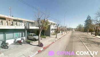 Pencil Libreria y Papeleria - Young