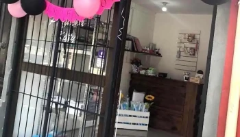 Pequeña Kitty - Florida