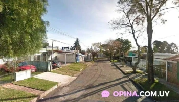 Perro - Montevideo Perro - Montevideo