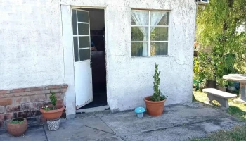 Perruqueria - Estetica Canina - Cam. Olazagasti