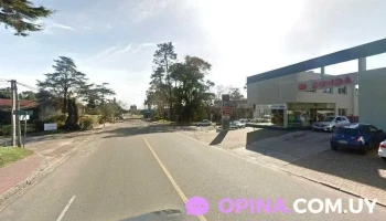 Pet Center - 20000 Punta Del Este