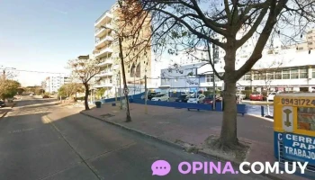 Pet + - Tienda Malvin - 11400 Montevideo