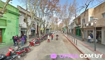 Petit Baby - 97000 Durazno Petit Baby - 97000 Durazno