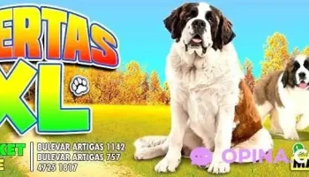 PetMARKET - 60000 Paysandú