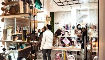 Pitah - 70000 Col. Del Sacramento