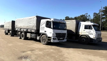 Planta Saman Vergara - 33002 Vergara Planta Saman Vergara - 33002 Vergara