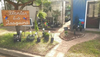 Plantas La Joaquina - 27100 Chuy