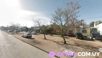 Plantas Progreso - 15900 Progreso