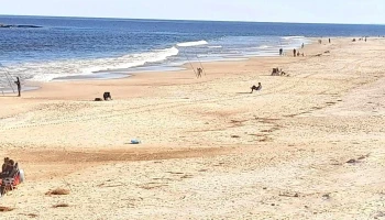 Playa Brava - Departamento De Canelones