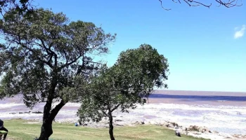 Playa Buceo - Montevideo Playa Buceo - Montevideo