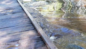 Playa Coquimbo - Palmitas