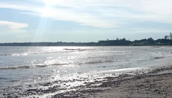 Playa Mansa - Departamento De Canelones