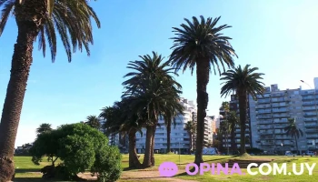 Playa Pocitos - Bajada Av. Brasil - Montevideo Playa Pocitos - Bajada Av. Brasil - Montevideo