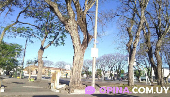 Plaza de deportes - 80000 San José De Mayo