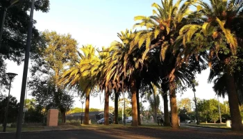 Plaza De Toledo - 15700 Toledo