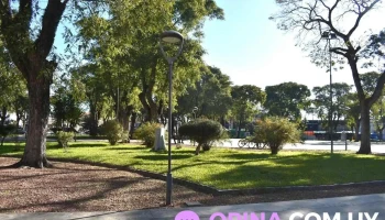 Plaza Doctor Enamorado - Sarandí Del Yí