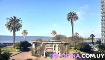 Plaza Tomás Gomensoro - 11300 Montevideo