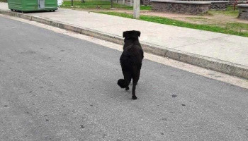 Policlinica 6 De Diciembre - Montevideo Policlinica 6 De Diciembre - Montevideo