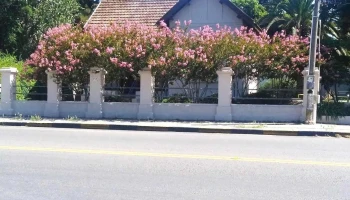 Policlínica Aquiles Lanza | Montevideo Salud - Montevideo