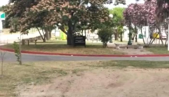 Policlinica Asse Rafael Peraza - Rafael Perazza