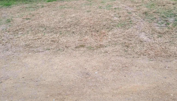 Policlínica San Luis - 15400 San Luis