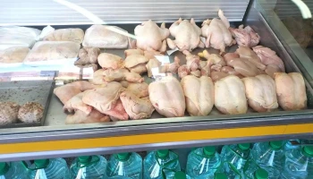 Polleria Rivera srl - 90200 Santa Lucía Polleria Rivera srl - 90200 Santa Lucía