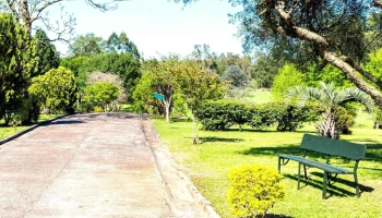 Porvenir - 40000 Rivera