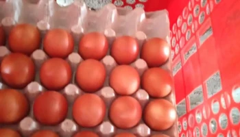 Productos de Avícola Pam - 80500 Ciudad Del Plata Productos de Avícola Pam - 80500 Ciudad Del Plata