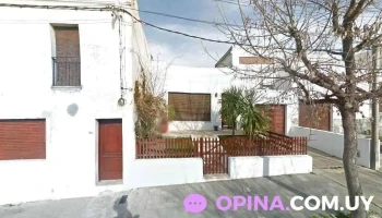 ProEnglish Cecilia's Academy - Florida