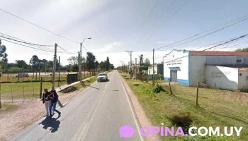 profesor de idiomas - Toledo