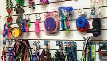 Promesa Clínica Veterinaria - 55000 Artigas