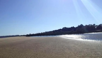 Provisión Provisión