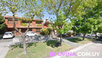 Psicologa Alejandra Dellepiane - Montevideo Psicologa Alejandra Dellepiane - Montevideo