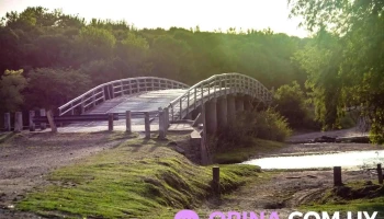 Puente Paso Real - Rocha