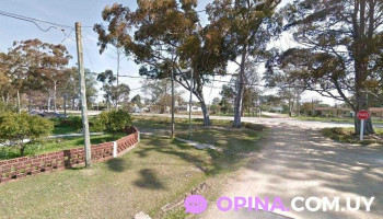 Puesto de frutas y verduras Ismael - 15100 Salinas Puesto de frutas y verduras Ismael - 15100 Salinas