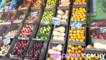 Puesto Los Críos - 12900 Montevideo