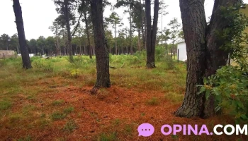 Punta del Este Driving School - Punta Del Este Punta del Este Driving School - Punta Del Este