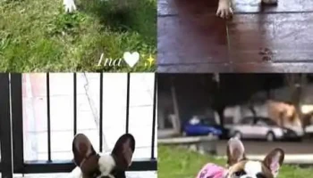 Punta del este m - 20000 Maldonado