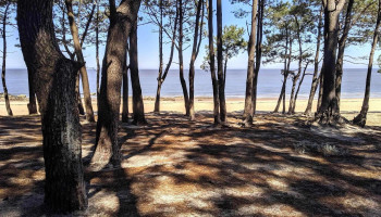 Punta Yeguas - Montevideo