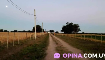 Puntas de Valdez - Puntas De Valdez Puntas de Valdez - Puntas De Valdez