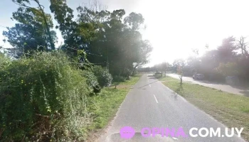 Puntauy Inmobiliaria - Punta Del Este