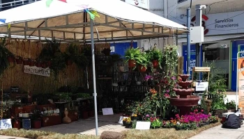 Punto Natural - 15200 Las Toscas