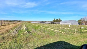 Punto Verde - Unnamed Road