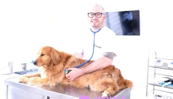 PuntoVet 3 - 11300 Montevideo PuntoVet 3 - 11300 Montevideo