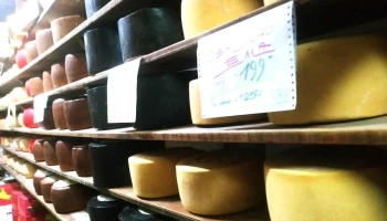 Quesería Quesema - 11800 Montevideo Quesería Quesema - 11800 Montevideo