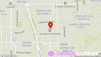 Quiropráctico - Misiones Quiropráctico - Misiones